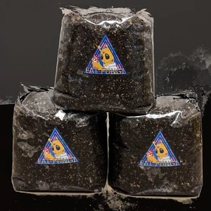 Dung Lover Mushroom Substrate 2KG - HPoo Coir Poo Tek - Pan Cyan - Blue Meanie - Picture 1 of 7