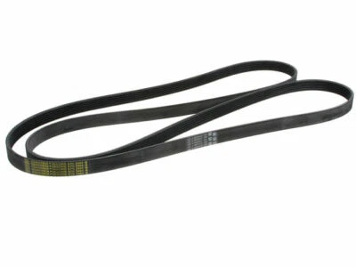 Cinturón multi costilla para GMC C2500 1988-1989 88276QS Foto 1 de 2