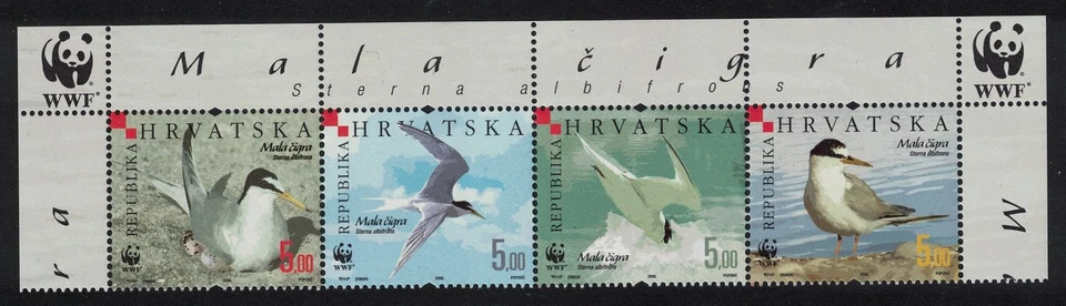Croacia Birds WWF Little Tern Strip of 4v WWF Logo 2006 MNH SG#854-857 Foto 1 de 1