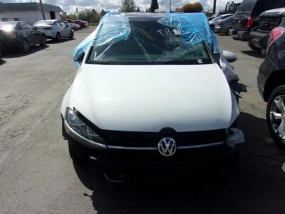 Manija de puerta exterior trasera izquierda usada se adapta a: Volkswagen Golf 2020 montaje Htbk pai Foto 1 de 4