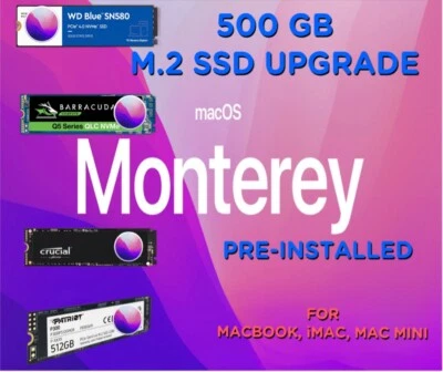 500GB M.2 SSD with macOS Monterey 12 Pre-Installed for MacBook, iMac, Mac Mini - Image 1 of 3