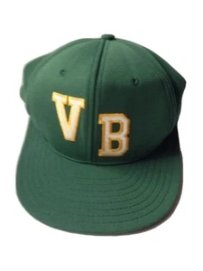 1970s 1980s VIRGINIA BEACH PARKS & REC FOAM TRUCKER BASEBALL CAP HAT, VA VINTAGE - Picture 1 of 6