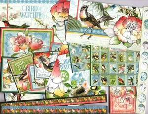 Snippets Graphic45 BIRD WATCHER (21PC) HAND-CUT scrapbooking FLORALS FAUNA - Picture 1 of 5