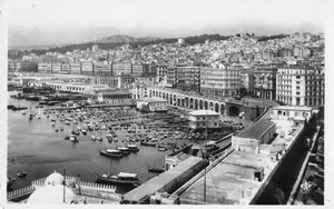 Postcard Alger Algeria General View RPPC Circa 1950 - Picture 1 of 2