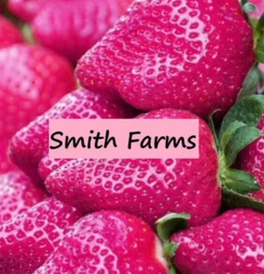 200+ SEEDS Pink Strawberries Edible Healthy Fruit Planting Garden Strawberry - Picture 1 of 5