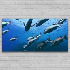 Picture on Glass Decoration Wall Bedroom Photo Image 140x70 Ocean Fish Nature