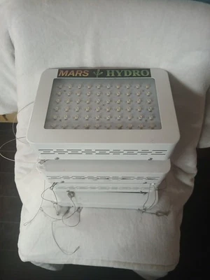 Luz LED de crecimiento × 4 Foto 1 de 2