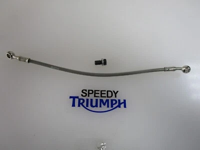 MANGUERA FRENO DELANTERO TRIUMPH DAYTONA 675R DE PINZA A MOD T2022724 Foto 1 de 4