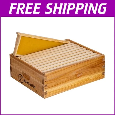 Langstroth Medium Hive Box with 10 Bee Frames and Wax Foundations Included - Image 1 of 4