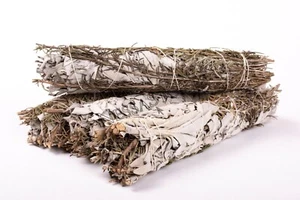 Paquete de 8""-9"" de salvia blanca + incienso mancha de romero (4 piezas) #JC-141 - Imagen 1 de 5