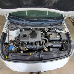 ACCENT    2019 Engine Wire Harness 1093519 - Picture 1 of 1