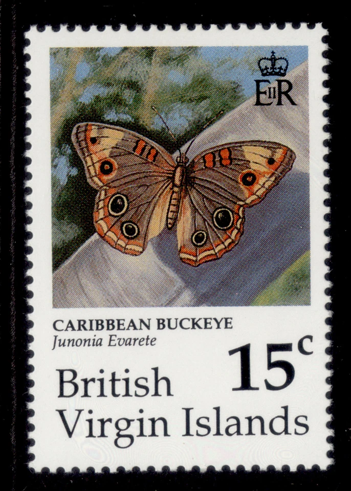 BRITISH VIRGIN ISLANDS QEII SG786, 1991 15c butterflies, NH MINT. — 第 1/1 张图片