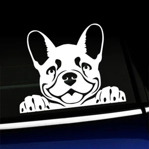 Peeking Frenchy - Cute French Bulldog Sticker Decal - You choose the color - Foto 1 di 26