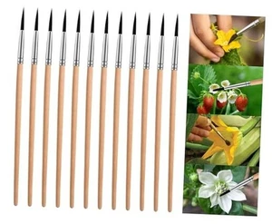 Bestäubungsbürste zur Verbesserung der Bestäubungseffizienz Indoor 12er Pack - Bild 1 von 7