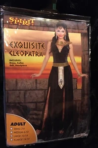 Spirit Women's Exquisite Cleopatra Costume, Black/Gold Dress Sz Large - Picture 1 of 3