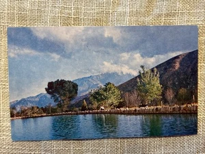 Trout fishing pond rainbow Rancho Whitewater Canyon California vintage postcard - Picture 1 of 2