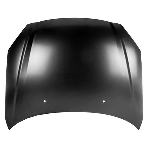 For Nissan Altima 2002-2004 Replace NI1230157PP Hood Panel Platinum Plus Foto 1 de 1