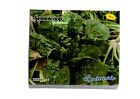 spinach hybrid n.5 professional pack 0,050 kg. seeds pemphigoid leaf large inve