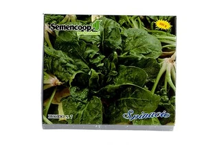 Spinach Hybrid n.7 Professional Pack 0,500kg. Seeds Pemphigoid Leaf Large Inve - Picture 1 of 1