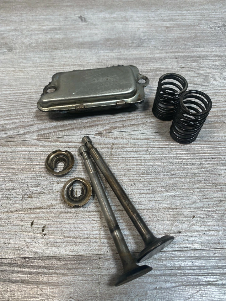 Conjunto de válvula de pieza de cortacésped de empuje Snapper B & S 93508 de colección Foto 1 de 4