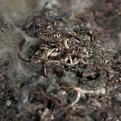 67x55 mm Native Silver with Cupropearceite from TL 143g / 5oz Sarbai, Kazakhstan - Image 1 of 4