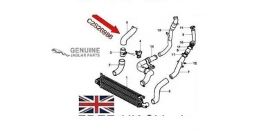 GENUINE JAGUAR X-TYPE 2.0TD INTERCOOLER HOSE (PLEASE SEND REG NUMBER) C2S26986 - Image 1 of 2