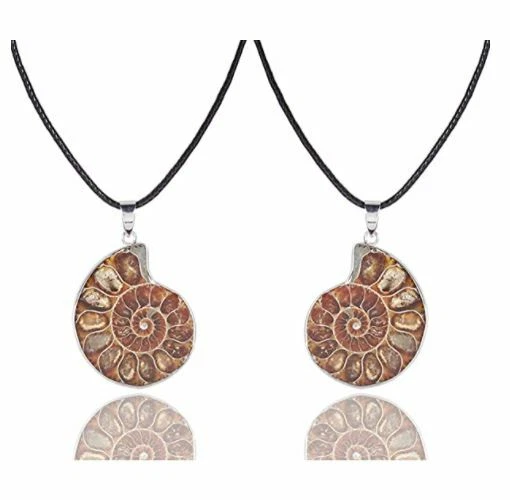 Paquete de 2 collares colgantes fósiles de amonita natural Joan Nunu caracol concha en espiral Foto 1 de 1