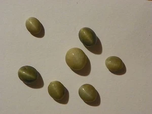 Quartz cats Eyes cat's eyes  50 carats total weight cabs cabochons - Picture 1 of 1