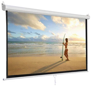 120'' Projector Screen Projection Screen Manual Pull Down HD Screen 1:1 Format - Picture 1 of 24