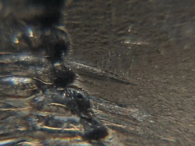 2020-D Feeder Finger US Mint Error America the Beautiful Quarter - Image 1 of 4