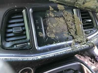 Used Starter Motor fits: 2015 Dodge Challenger 3.6 Grade A — 第 1/4 张图片