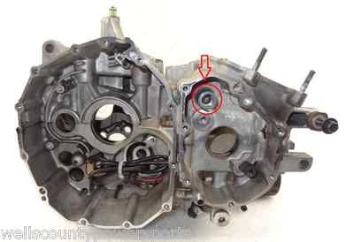 Gen1 Busa Motor Estuche Ahorrador 1999-2007 Protector Ralentí Engranaje Motor Carrera 2000 2001 Foto 1 de 2