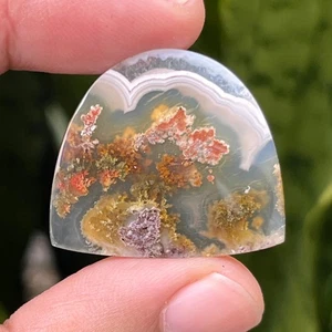 Ágata musgo ternato escénico 23,85 quilates orbicular 29x25x4 mm ágata musgo de alta calidad - Imagen 1 de 4