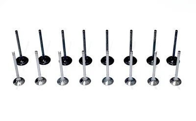 16 Engine Valves for Hyundai Accent, Tucson, Veloster, i20, i30, i40 - 1.4 & 1.6 - Image 1 of 3