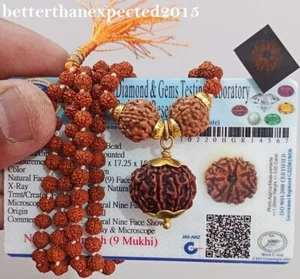 9 Mukhi Rudraksha / Nine Face Rudraksh Nepal Bead 18-20 mm Pendant + Mala - Lab - Picture 1 of 4