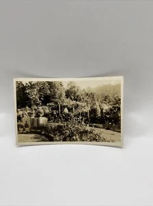 Vintage 1936 Photograph Flower Garden - Bild 1 von 8