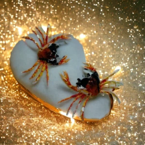 Super cool GRABBY CRABBY STUD EARRINGS cool ROCKPOOL gift boxed CRAB sea - Picture 1 of 1
