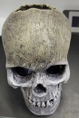 Синяя лента экзотический реалистичный человеческий череп аквариум рептилия пещера украшение EE-358 - Изображение 1 из 4