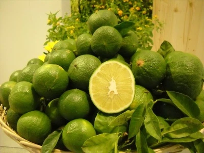 10 KG di Bergamotto Fresco Area Grecanica Reggina -Buccia edibile- NON TRATTATO - Immagine 1 di 4