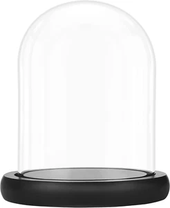 Campana Di Vetro Con Base in Legno Nero - Cupola Vetro 19,2 Cm - Teca Vetro Espo - Foto 1 di 12