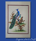 Paon Oiseau Fait à la Main Peinture Miniature Oiseau Art Sur Papier PN12900