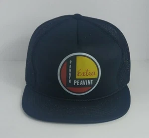 Amtrak Parker Peavine Extra 1985 Vintage Snapback Hat - Picture 1 of 6