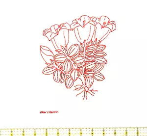VNTG 7 REDWORK FLORA-Blocchi trapunta-RICAMATO A MANO 13""X13"" NUOVO Mai usato - Foto 1 di 7