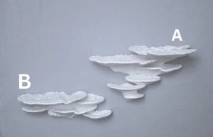 Mushroom Shelves Cottage Core Room Decor - Picture 1 of 4