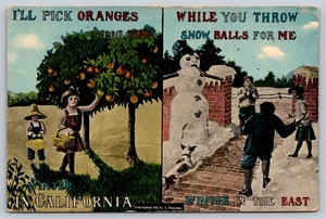 Postcard Humor Comic California Oranges Winter Snowballs in East Posted 1913 - Picture 1 of 2