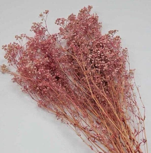 Dried Preserved Baby's Breath Gypsophila Bunch 5 Colours Home Decor Centrepiece - Picture 1 of 11