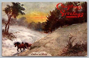 Postcard: Christmas, Glorious Winter, No. 9569, Raphael Tuck, Beaded, Posted - Picture 1 of 2