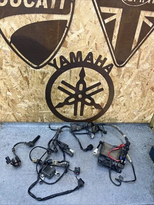 Yamaha Yzf 250 2019-2022 Complete Wiring Harness Loom OEM Genuine Ignition Coil  - Image 1 of 4