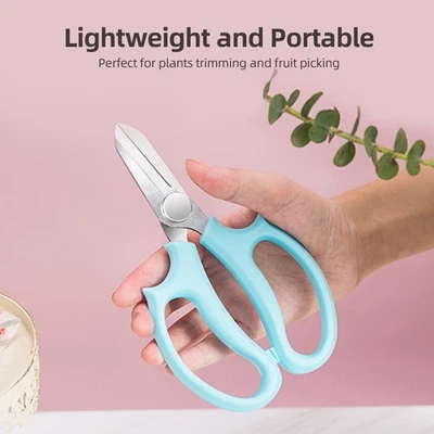 5 Piece Garden Flower Scissors Stainless Steel Floral Shears FMGO - Image 1 of 4