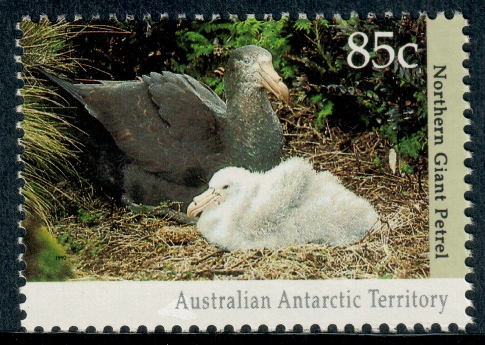 Aust Antarctic Terr - 1992 - Vida silvestre - Macronectes halli - 85¢ - #3934 Foto 1 de 1